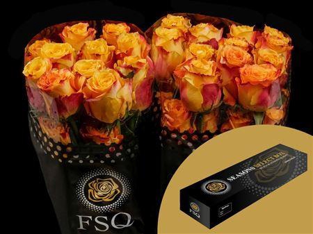 <h4>R Gr Silantoi Box</h4>