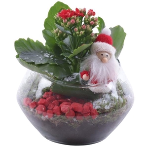 Christmas Arr. Indoor Glass Oblique UFO Vase Ø15cm 1PP