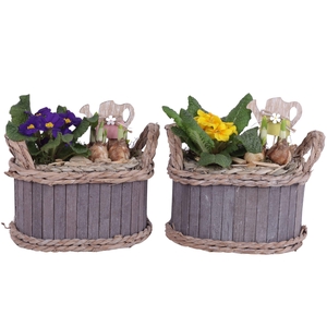 Early Spring Arr. Outdoor Willow Pot Oval Waterhyacint Rim Ø22cm