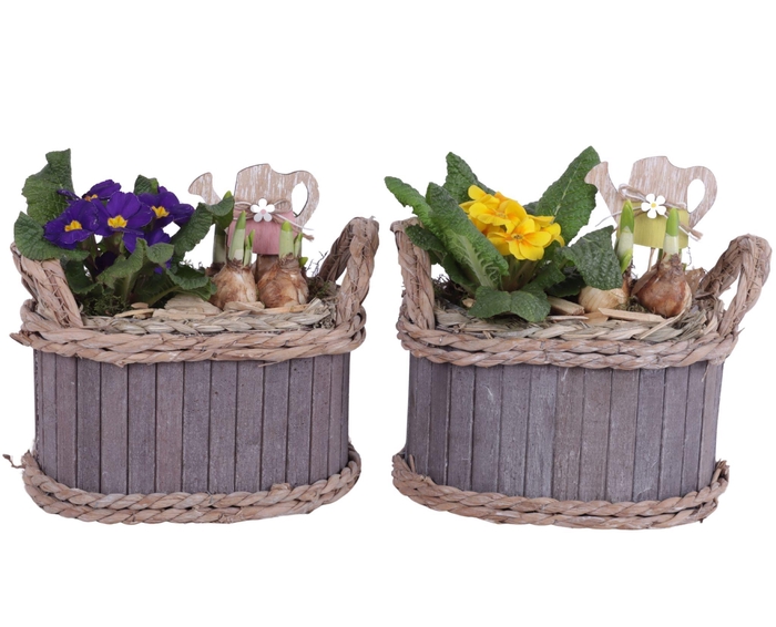 <h4>Early Spring Arr. Outdoor Willow Pot Oval Waterhyacint Rim Ø22cm</h4>