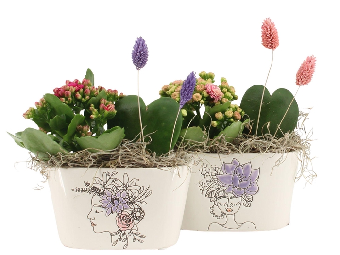 <h4>21706: Lovess arrangement</h4>