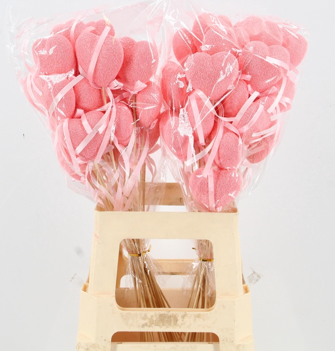 <h4>HARTJE OP STOK H%</h4>