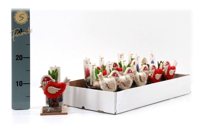 <h4>ARR HYACINTH H%</h4>