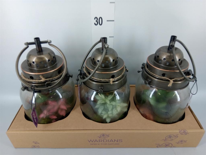 <h4>Arr.   Kamerplant Groen H%</h4>