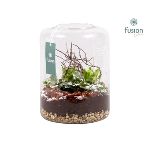 Green Bottle Isabella Large met Groene Planten