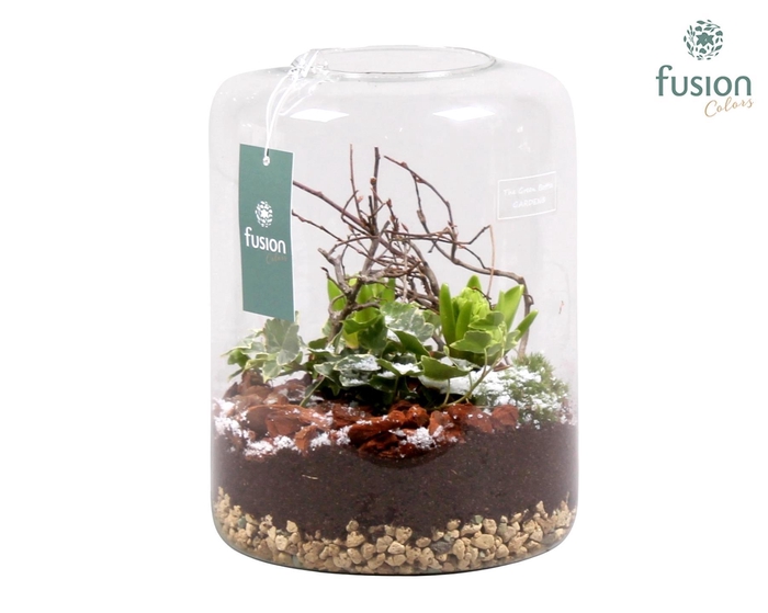 <h4>Green Bottle Isabella Large met Groene Planten</h4>