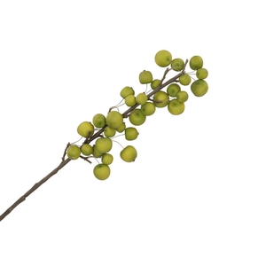 Silk Apple Sentinel Green 66cm Nm
