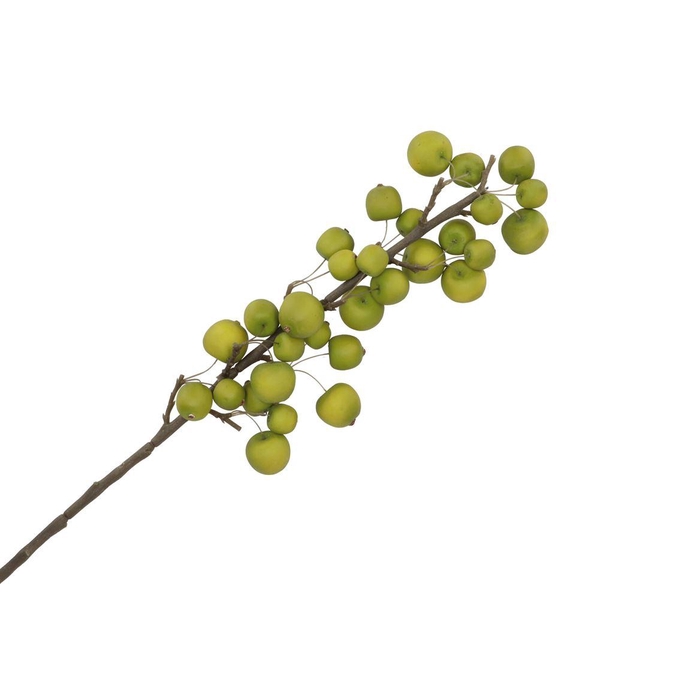 <h4>Silk Apple Sentinel Green 66cm Nm</h4>