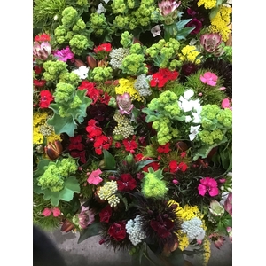 FREILAND SOMMERMIX