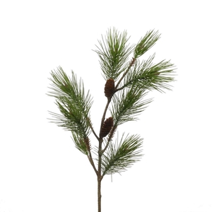 AF Pinus L97cm Green
