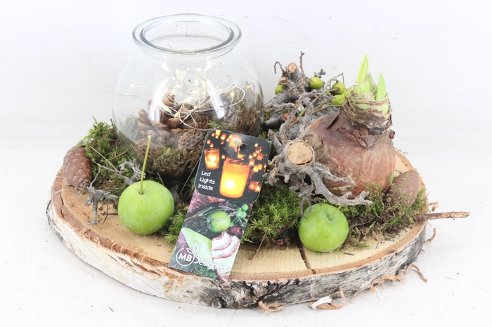 <h4>arr4 Amaryllis MB - Hout schijf 1wax led</h4>