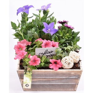 Hout Schaal 26x25xhoog 10cm