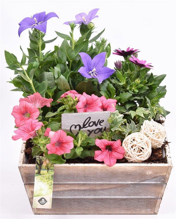 <h4>Hout Schaal 26x25xhoog 10cm</h4>