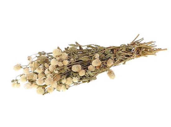 Bunch Gomphrena Slv 100g L55