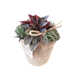 JMO18ZMX Jute mand Ovaal D21 mini groenmix