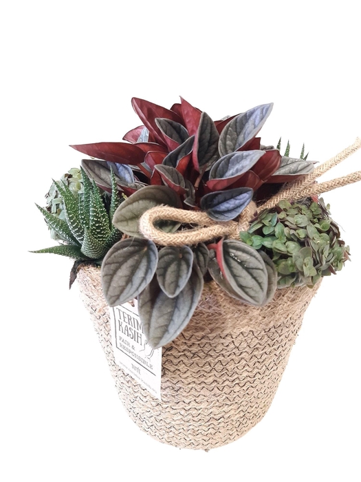 <h4>JMO18ZMX Jute mand Ovaal D21 mini groenmix</h4>