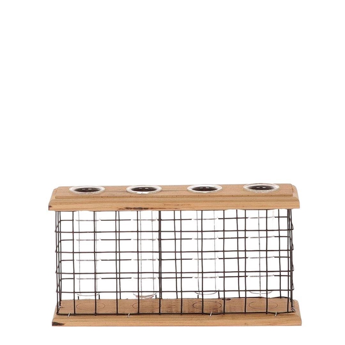 <h4>Glas Fles Lodge+4buis 23*6*12cm</h4>