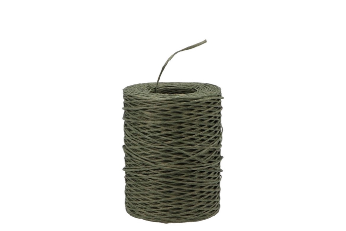 <h4>Oasis Decodraad Groen P/200 Meter</h4>