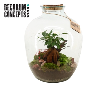 Terrarium Galaxy medium (Decorum concepts)