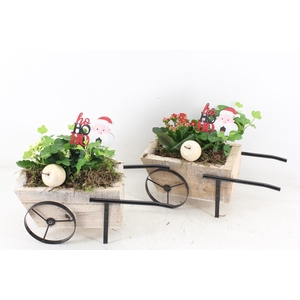 arr2 TD - Hout handkar - rood/wit