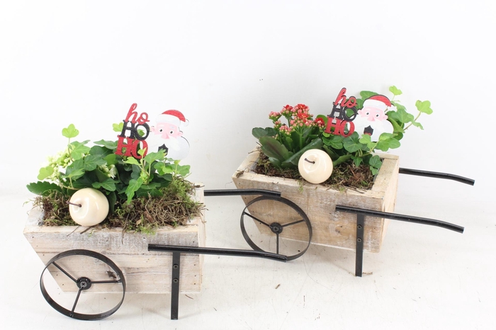 <h4>arr2 TD - Hout handkar - rood/wit</h4>