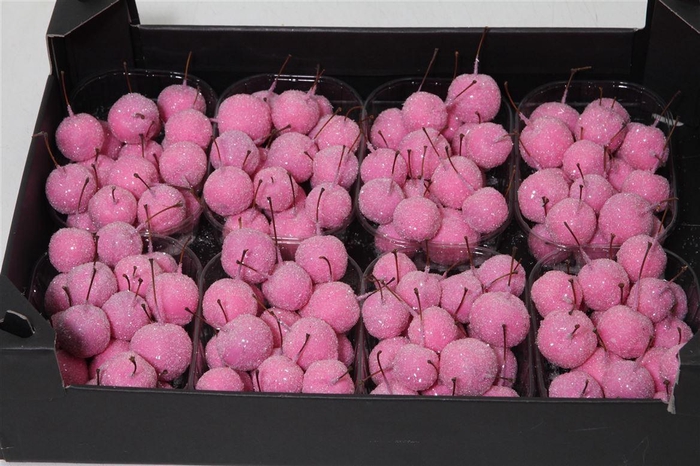 <h4>Appel (wax+gl) X8 Pink Rose</h4>