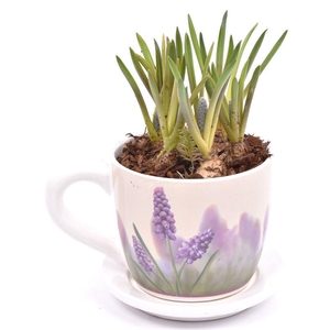 Keramiek K&S Muscari 10/16cm