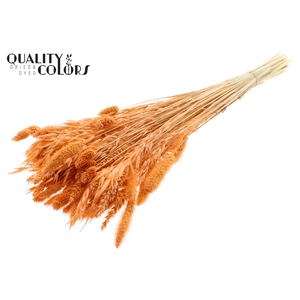 Dried Flower Mix bunch Bleached Frosted Salmon