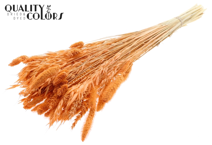 <h4>Dried Flower Mix bunch Bleached Frosted Salmon</h4>