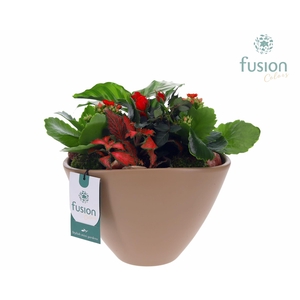 Pot keramiek Oval Large beige Love met arrangement