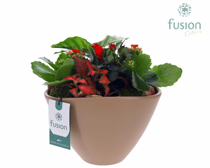 <h4>Pot keramiek Oval Large beige Love met arrangement</h4>