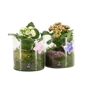 11615: Consideration arrangement