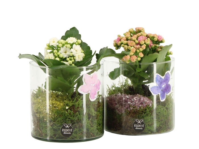 <h4>11615: Consideration arrangement</h4>