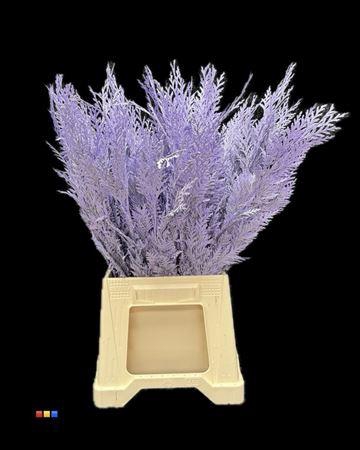 <h4>Coniferen Light Milka</h4>