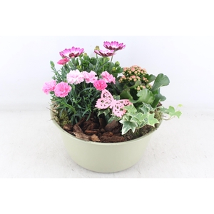 arr4 Outdoor MB - Zink bolschaal XL