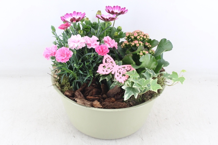 <h4>arr4 Outdoor MB - Zink bolschaal XL</h4>