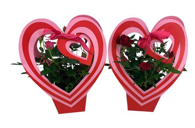 <h4>KAL GE GEM 2 KL</h4>