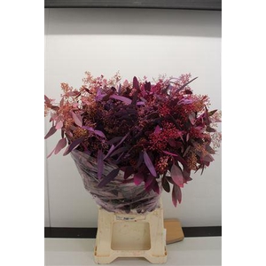 EUCALYPTUS POPULUS DYED MIX