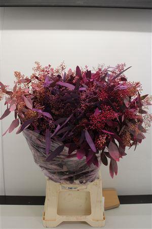 <h4>EUCALYPTUS POPULUS DYED MIX</h4>