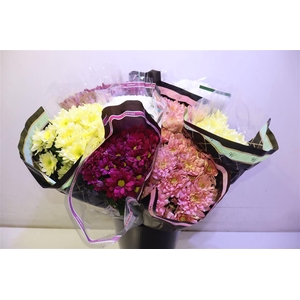 Chr T Overig 70cm 75gram 23