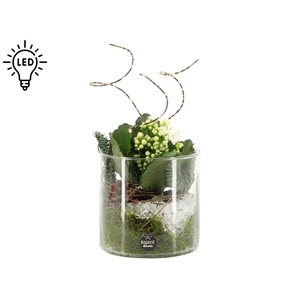 61699: X-mas arrangement