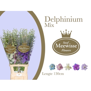Delphinium Mix Xxl
