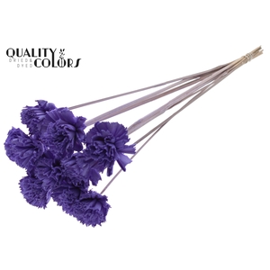 Shola Karnish Flower 6cm on stem Milka