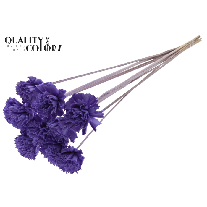 <h4>Shola Karnish Flower 6cm on stem Milka</h4>