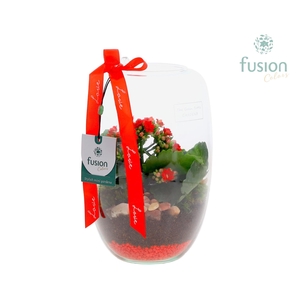 Green Bottle Isabella Small Love met Kalanchoe