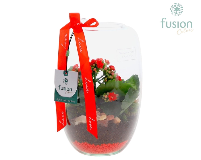 <h4>Green Bottle Isabella Small Love met Kalanchoe</h4>