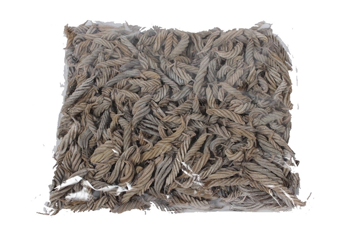 Screw pod 500gr in poly Frosted White