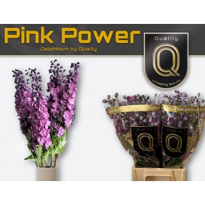 DELPH DU PINK POWER 70CM X40