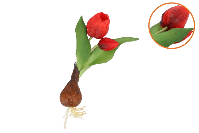 Silk Tulip Bulb Red 25cm