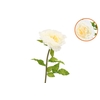 Silk Amazing Peony Beauty Cream Xl 38x115cm